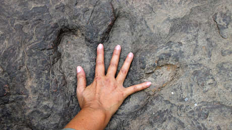 Niña de 10 años descubre huellas de dinosaurio de 200 millones de años - Tegan, de 10 años, descubre huellas de dinosaurio de 200 millones de años en una playa de Gales, ¡una emocionante aventura prehistórica!