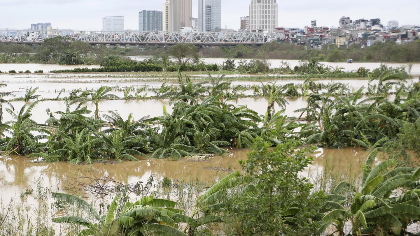 Tifón Yagi desata caos en Vietnam: 87 muertos y 70 desaparecidos tras devastadoras lluvias - El tifón Yagi devasta Vietnam: 87 muertos, 70 desaparecidos y severas inundaciones. La naturaleza desata su furia, dejando un rastro de destrucción.